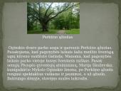 Žemaitija 4 puslapis