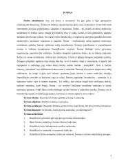 Santuoka ir šeima - vertybė? 3 puslapis