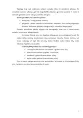 Santuoka ir šeima - vertybė? 7 puslapis