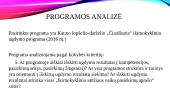 Ikimokyklinio ugdymo programos kokybės analizė 2 puslapis