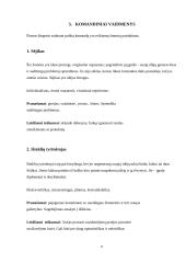 Psichologija. Darbas komandoje 11 puslapis