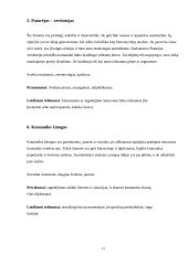 Psichologija. Darbas komandoje 13 puslapis