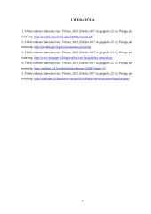 Psichologija. Darbas komandoje 17 puslapis