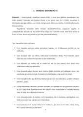 Psichologija. Darbas komandoje 3 puslapis