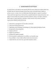 Psichologija. Darbas komandoje 10 puslapis