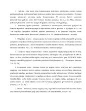 Atvejo analizė socialinės politikos lygmenyje 3 puslapis