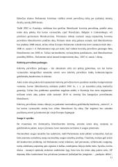 ES geležinkelių transporto politika 11 puslapis