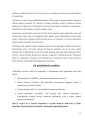 ES geležinkelių transporto politika 12 puslapis