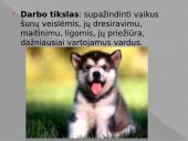 ﻿Viskas apie šunis 2 puslapis