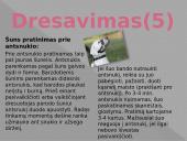 ﻿Viskas apie šunis 11 puslapis