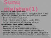 ﻿Viskas apie šunis 12 puslapis