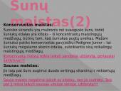 ﻿Viskas apie šunis 13 puslapis