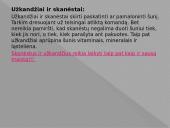 ﻿Viskas apie šunis 14 puslapis