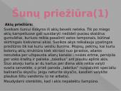 ﻿Viskas apie šunis 4 puslapis