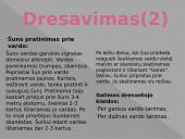 ﻿Viskas apie šunis 8 puslapis