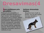 ﻿Viskas apie šunis 10 puslapis