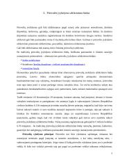 Prievolės įvykdymo užtikrinimo samprata ir būdai 4 puslapis