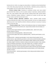 Prievolės įvykdymo užtikrinimo samprata ir būdai 5 puslapis