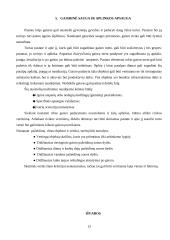 Aplinkos sauga referatas 12 puslapis