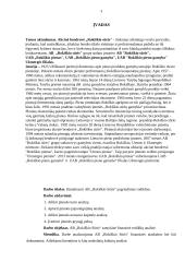 AB "Rokiškio sūris" 3 puslapis