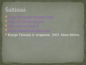 Uraganai ir audros 8 puslapis