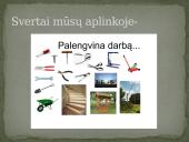 Svertas skaidrės 12 puslapis