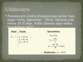 Svertas skaidrės 13 puslapis