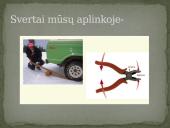 Svertas skaidrės 8 puslapis