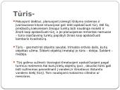 Tūris, tankis, masė 3 puslapis