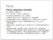 Tūris, tankis, masė 4 puslapis