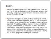 Tūris, tankis, masė 5 puslapis