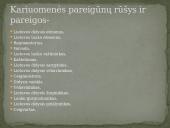 Lietuvos Didžiosios Kunigaikštystės kariuomenė 4 puslapis