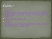 Lietuvos Didžiosios Kunigaikštystės kariuomenė 7 puslapis