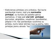 Pirkėjų tipai skaidrės 2 puslapis