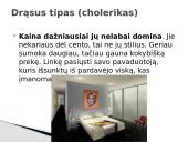 Pirkėjų tipai skaidrės 11 puslapis