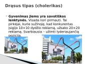 Pirkėjų tipai skaidrės 12 puslapis