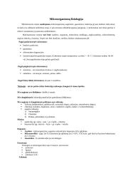 Mikrobiologijos konspektas egzaminui 3 puslapis