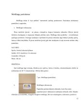 Vyriško džemperio konstravimas su automatizuoto projektavimo sistema 13 puslapis