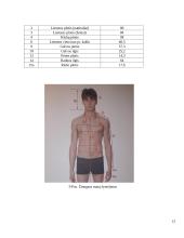 Vyriško džemperio konstravimas su automatizuoto projektavimo sistema 15 puslapis