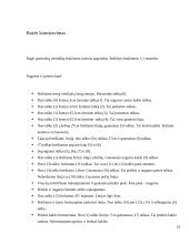 Vyriško džemperio konstravimas su automatizuoto projektavimo sistema 16 puslapis