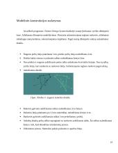 Vyriško džemperio konstravimas su automatizuoto projektavimo sistema 19 puslapis