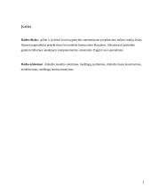 Vyriško džemperio konstravimas su automatizuoto projektavimo sistema 3 puslapis