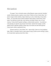 Vyriško džemperio konstravimas su automatizuoto projektavimo sistema 10 puslapis