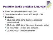 Tarptautinės politikos koordinavimas 18 puslapis