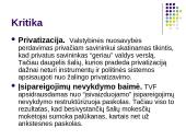 Tarptautinės politikos koordinavimas 10 puslapis