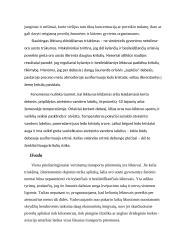 Orlaivių poveikis aplinkai 6 puslapis