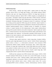 Optinės linijos Kaunas-Jonava-Ukmergė projektavimas 6 puslapis