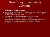 Gesintuvai skaidrės 11 puslapis