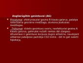 Gesintuvai skaidrės 12 puslapis