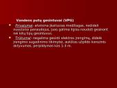 Gesintuvai skaidrės 13 puslapis